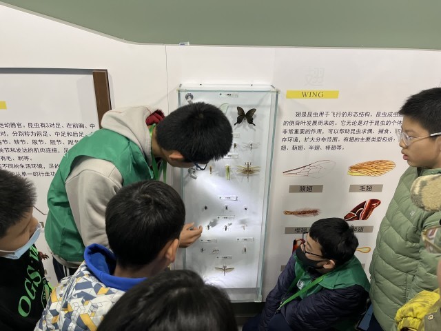 农大学生志愿者在昆虫博物馆向观众提供讲解服务